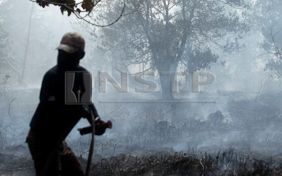 ANGGOTA Bomba dan Penyelamat berusaha memadamkan hutan seluas 40 hektar. FOTO/ MUHD ASYRAF SAWAL