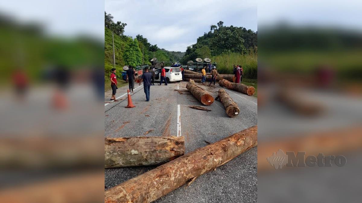 TRELER membawa muatan balak terbalik di Kilometer 65 Jalan Gua Musang-Kuala Krai. FOTO ihsan pembaca