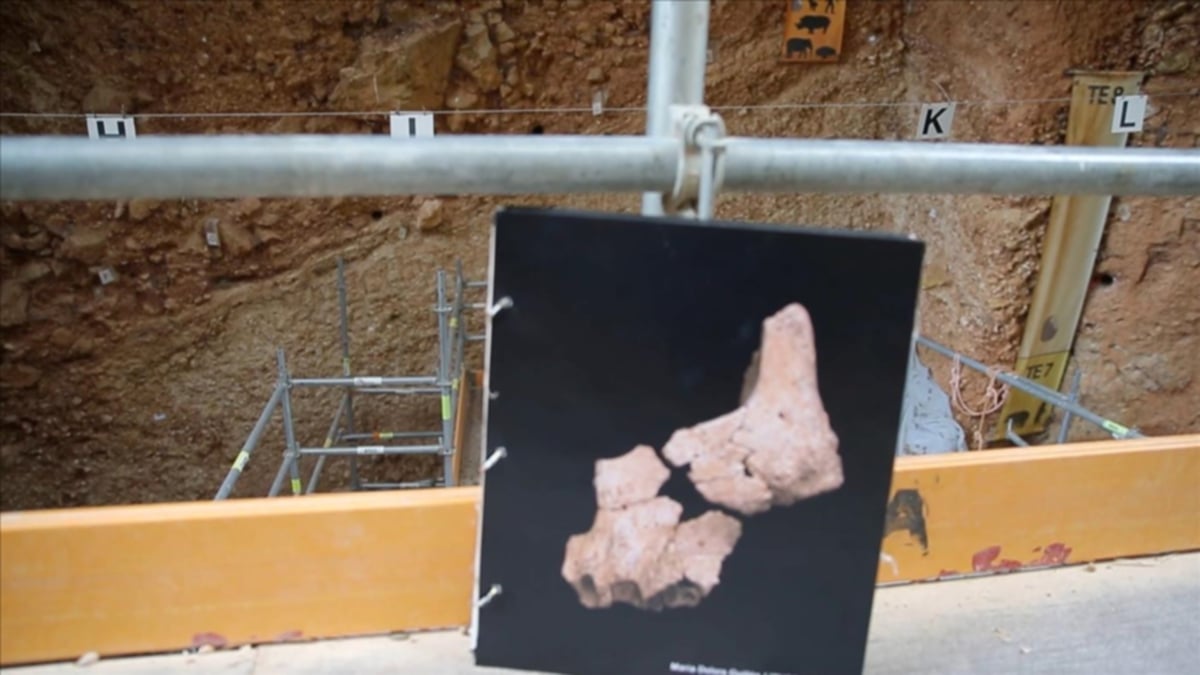 TENGKORAK berusia 1.4 juta tahun yang ditemukan di tapak penggalian Sierra de Atapuerca berhampiran Burgos. FOTO Agensi