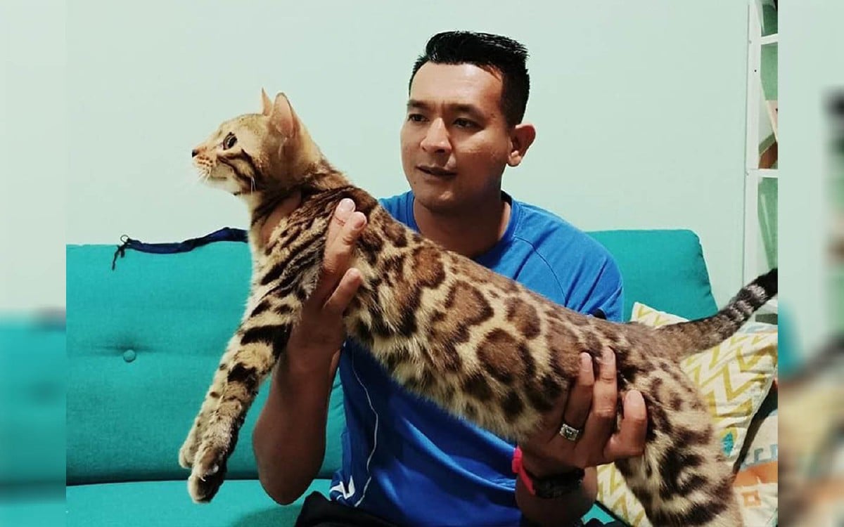 Badrul Hafeezy bersama kucing kesayangannya, Leo yang gagal diselamatkan diTaman Ad Deen, Kampung Alor Lintang. Foto IHSAN BADRUL HAFEEZY ALI