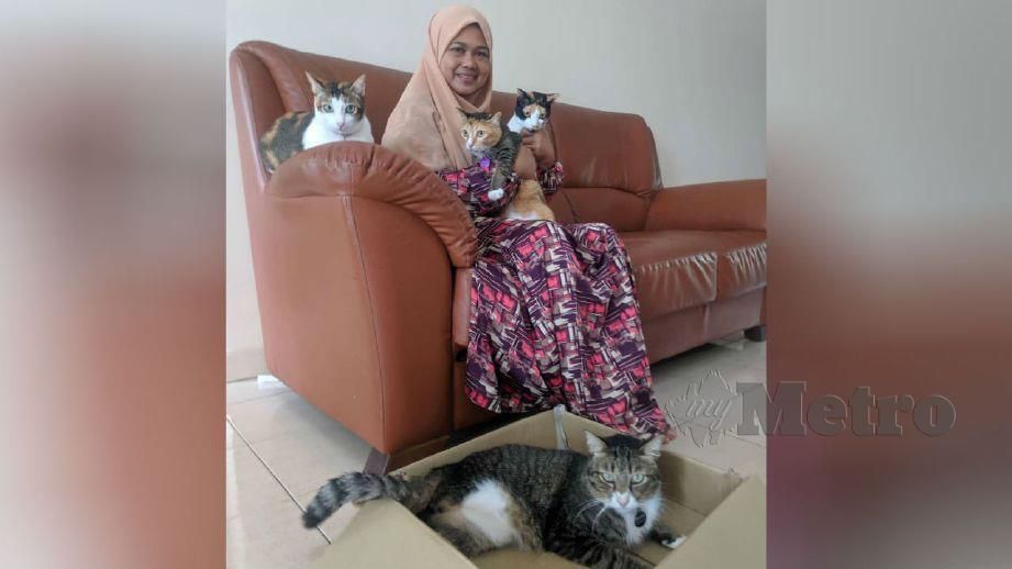 KAK Jie bersama empat kucing miliknya yang berkaki tiga. FOTO Ihsan Kujiecats