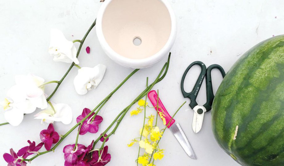 1. BAHAN: Tembikai, dua jenis orkid, bekas hiasan bagi menstabilkan dekorasi tembikai, pen penanda, gunting flora dan pisau sesuai. 