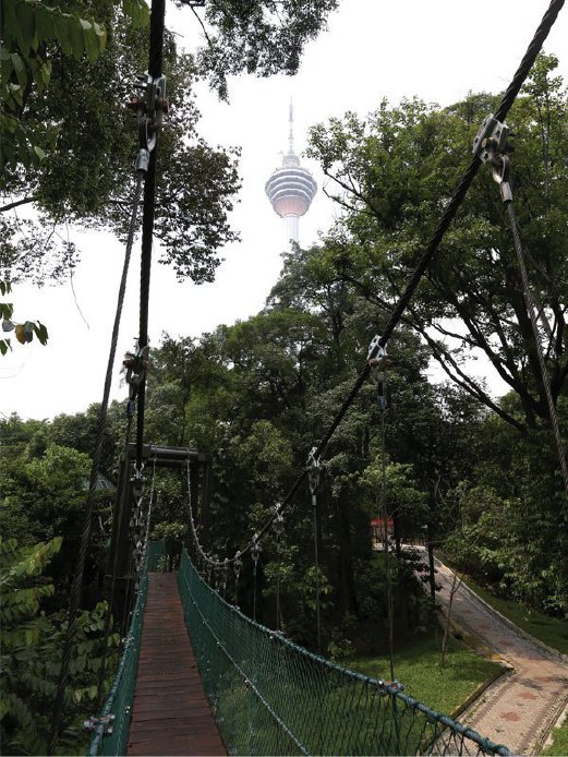 JAMBATAN gantung di Taman Eko Rimba dengan pemandangan Menara Kuala Lumpur cukup indah.