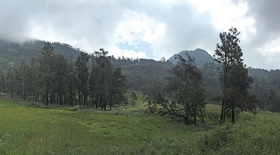 KAWASAN lapang Lembah Kijang laluan utama menyambungkan Gunung Welirang dan Gunung Arjuno.