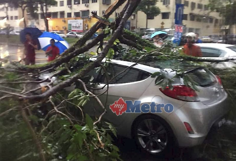 LELAKI selamat walaupun keretanya ditimpa pokok tumbang di Jalan Manja 3, Villa Manja, Bandar Manjalara, Kuala Lumpur, hari ini. FOTO ihsan bomba.
