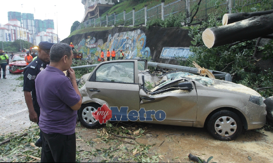 KEADAAN kereta yang dihempap pokok tumbang di Lebuhraya NPE berhampiran Angkasapuri, hari ini. FOTO Aswadi Alias
