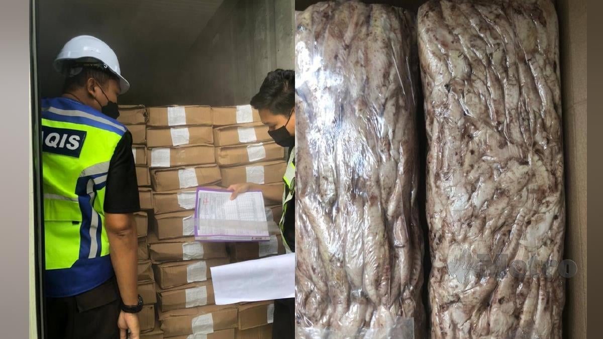 Penguatkuasa Maqis Pulau Pinang memeriksa kontena yang membawa masuk tulang ikan tuna sejuk beku di Pelabuhan NBCT, di Butterworth. FOTO ihsan Maqis 
