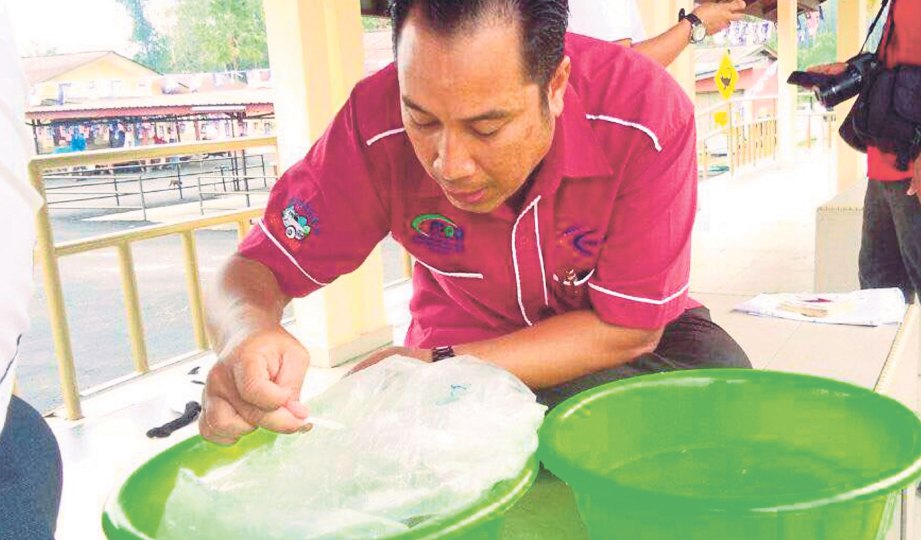 KAKITANGAN Jabatan Perikanan Negeri Sembilan melihat benih udang galah yang akan dilepaskan di Sungai Timun.