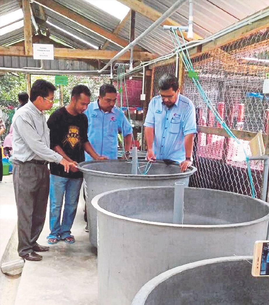 PEGAWAI Jabatan Perikanan Terengganu melakukan lawatan ke pusat pembenihan udang galah.