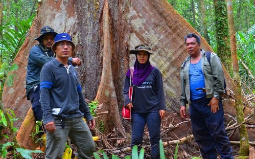 KUMPULAN penyelidik mengumpul data di sebuah hutan paya gambut di Pahang.