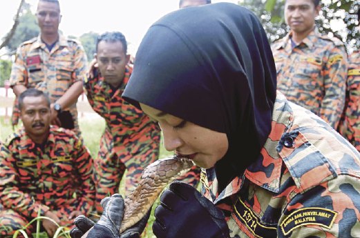 Wan Suzana  melakukan aksi mencium ular tedung selar  sambil diperhatikan pegawai  lain yang menyertai kursus.