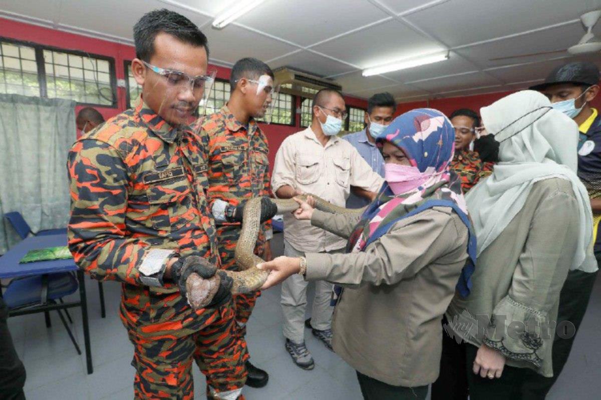 SAFIQ mengendalikan kursus binatang berbisa di Pusat Latihan Perhutanan Pahang (PLPP) Belimbing, Kuantan. FOTO Mohd Rafi Mamat 