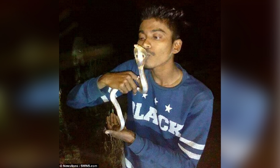 Gambar terakhir Somnath mencium kepala ular tedung sebelum ular itu mematuknya. 