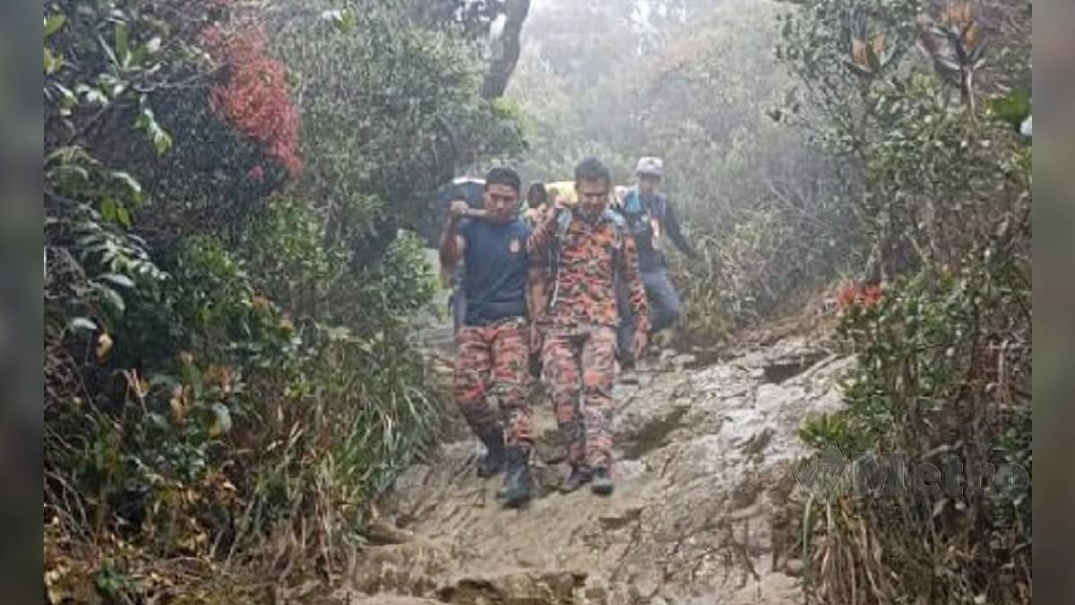 Anggota bomba mengusung mangsa yang tercedera ketika mendaki Gunung Kinabalu dekat Ranau hari ini. Foto Ihsan JBPM