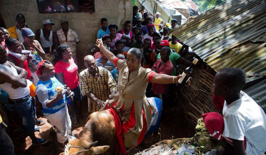 SEORANG wanita menunggang lembu sebelum haiwan itu dikorbankan.