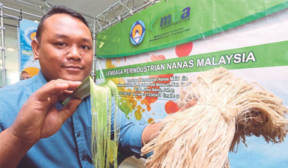 PEMBANTU makmal Lembaga Perindustrian Nanas Malaysia (LPNM), Mohamad Farhan Mohamad Daud menunjukkan gentian hasil daripada daun nanas.
