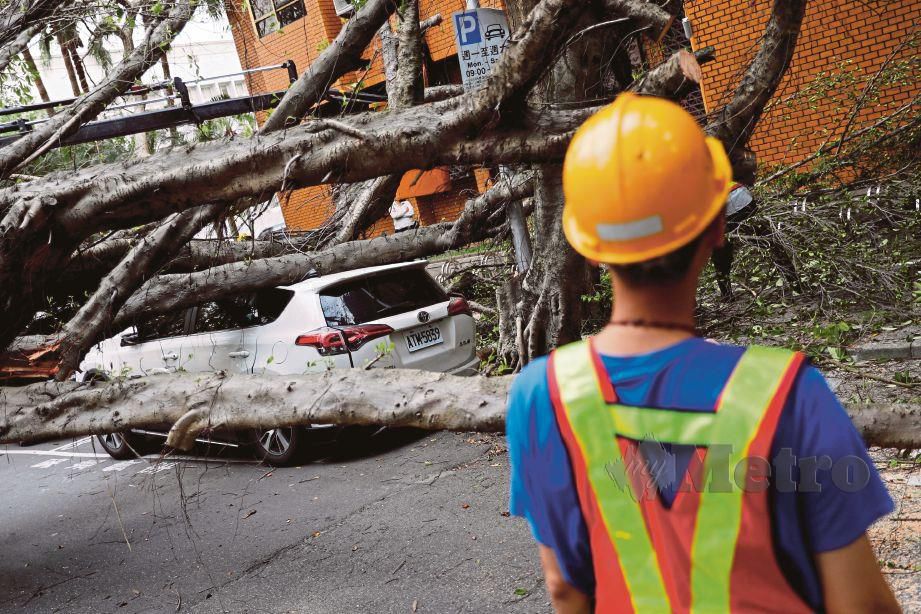 KENDERAAN dihempap pokok tumbang berikutan Gempa bumi 6.1 magnitud melanda Taiwan. - Foto Reuters