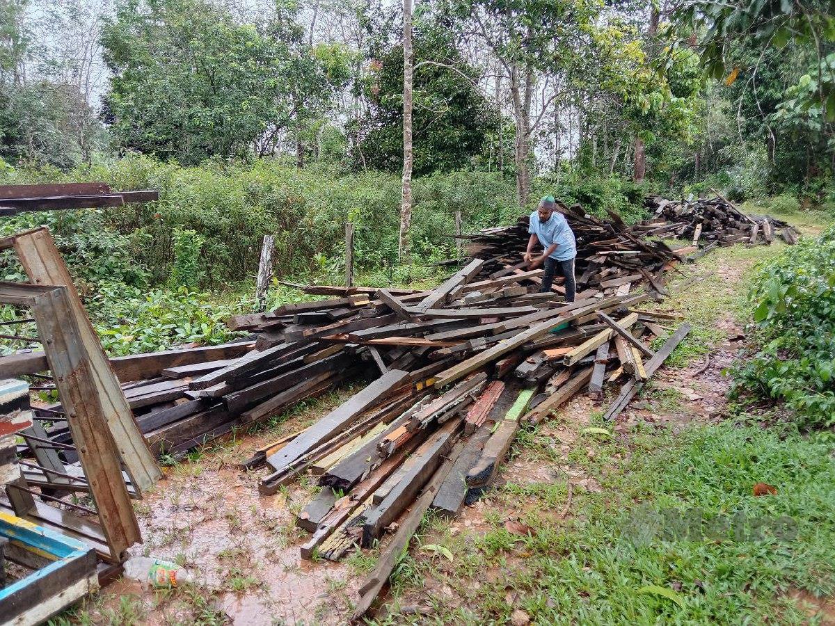 Muhammad Yazid menunjukkan kayu untuk pembinaan pondok ditempatkan di kawasan tebing bukit. FOTO NAZDY HARUN
