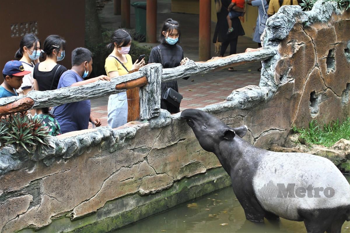 Zoo Johor Tutup Hingga 15 November