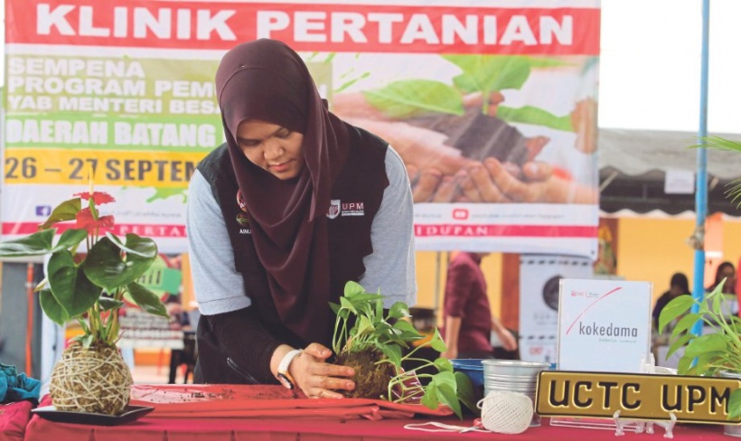 Seni pokok kepal Harian Metro